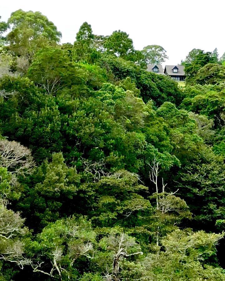 Risco De Hugo Villa Boquete Luaran gambar